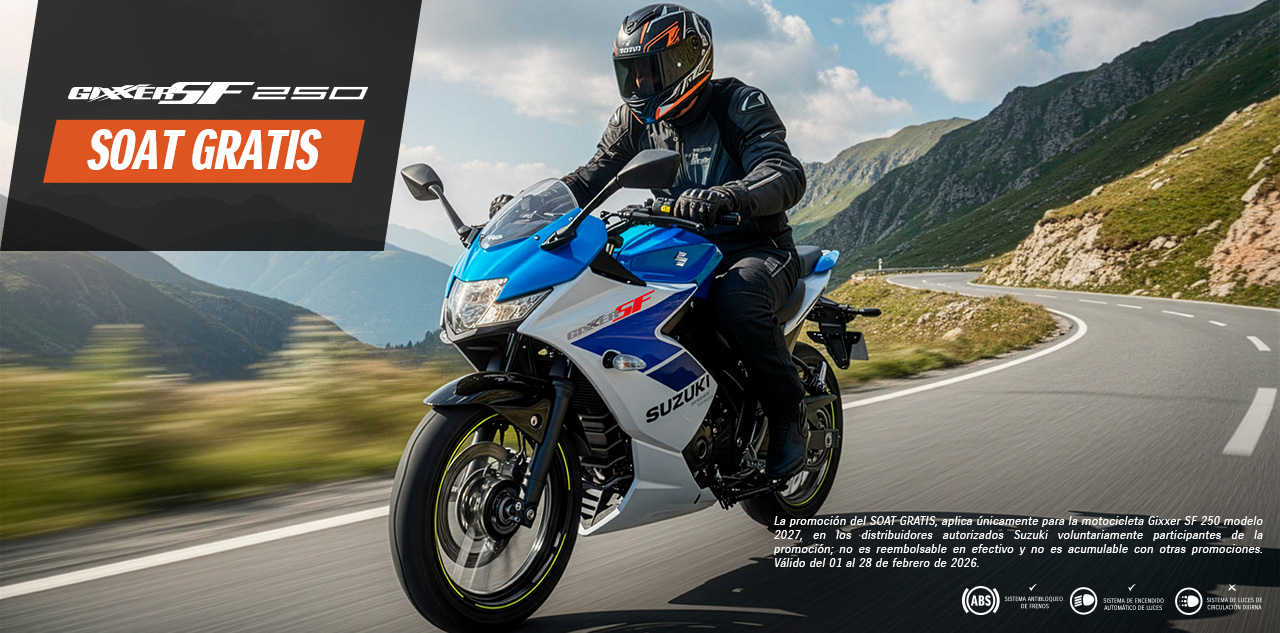 Promo Banner GIXXER SF 250.jpg