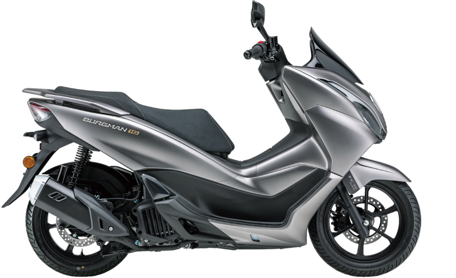 BURGAMFI15 GRIS